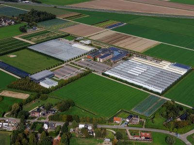 Nieuw kantoor en nieuwe kassen voor Rijk Zwaan.