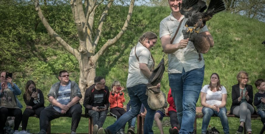 Ontmoet roofvogels en uilen