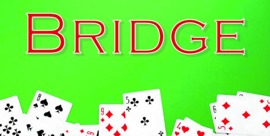 Bridge met een praatje