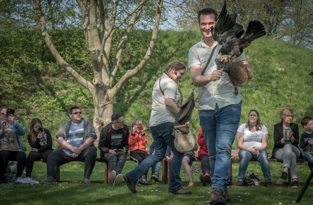 Ontmoet roofvogels en uilen